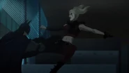 Batman vs. Harley Quinn