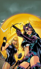 Black Canary and Huntress