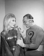 Moth with the Riddler