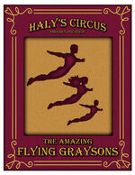 The flying graysons poster