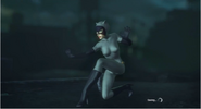 Catwoman skins