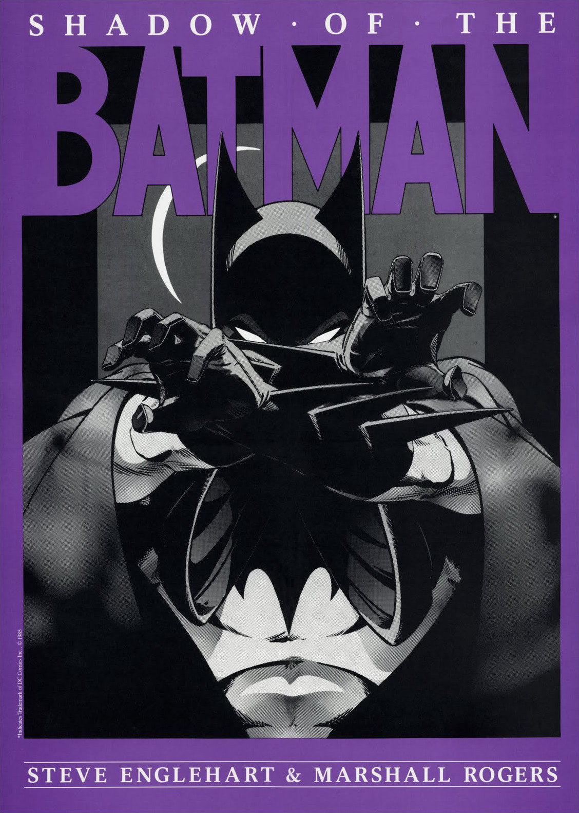 Shadow of the Batman | Batman Wiki | Fandom