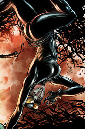 Catwoman-4