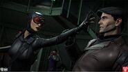 Catwoman fights Bruce Wayne