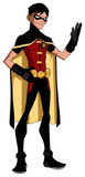 Dick Grayson Robin from Young Justice