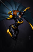 Batgirl Barbara Gordon 0009