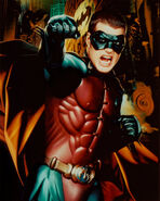 Batman forever robin