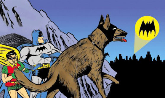 2148556-ace bathound.jpg
