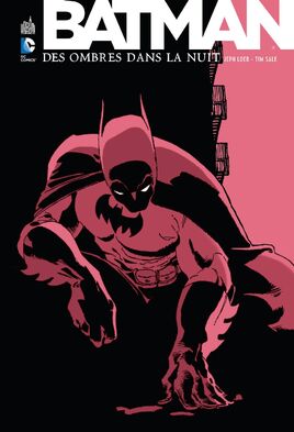 Batman-des-ombres-dans-la-nuit