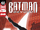 Batman Beyond Vol.6 25