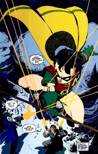 Robin (Dick Grayson)