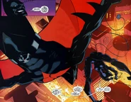 Batman chasing Catwoman