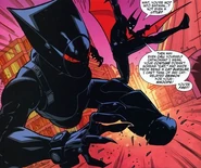 Catwoman evading Batman