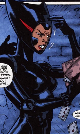 Catwoman III New Earth