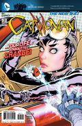 Catwoman Vol 4-7 Cover-1