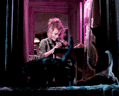 Selina's Cats