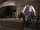 Vicki Vale's apartment