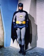 The Batsuit