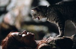 MagicCat
