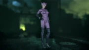 Long Halloween Catwoman skin