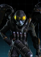 Firefly/Garfield Lynns