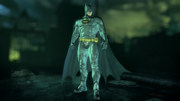 Batman Inc. skin