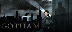 Gotham fan poster (Not Mine)