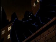 Batgirl in Shadows