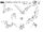 Assorted Bats Model Sheet.jpg
