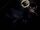 TCTC II 34 - The Cat and the Bat.jpg