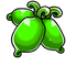 Green actinidia.png