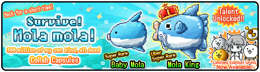 Выживи! Мола Мола!