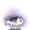 Crazed Fish Cat
