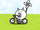 Tricycle Cat (Special Cat)