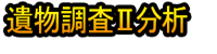 Ibutsu Chōsa Ⅱ Bunseki
