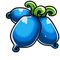 Blue actinidia.png