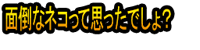 Mendōna Neko tte Omottadesho?