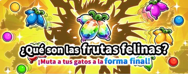 Fruta