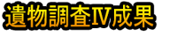 Ibutsu Chōsa Ⅳ Seika