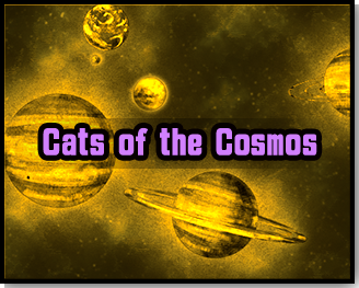 Cosmic Values – Your One-Stop Solution For The Pet Values In Pet