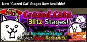 Crazed cat en