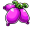 Purple actinidia.png