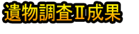 Ibutsu Chōsa Ⅱ Seika