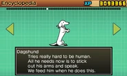 Dagshund's Enemy Guide entry in The Battle Cats POP!