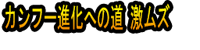 Kan Fū Shinka e no Michi Geki Muzu