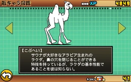 JP 