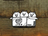 Caja de Gatitos (Gato Especial)
