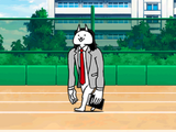 Principal Cat (Special Cat)