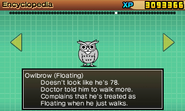 Owlbrow(bcp)
