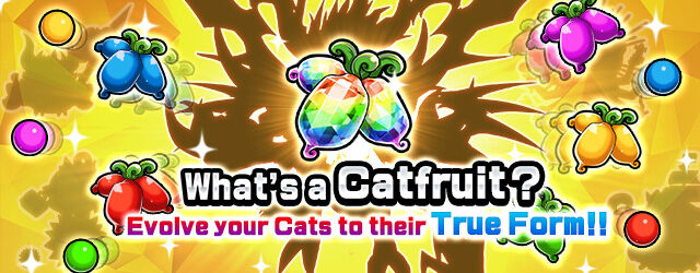 Catfruit | Battle Cats Wiki | Fandom